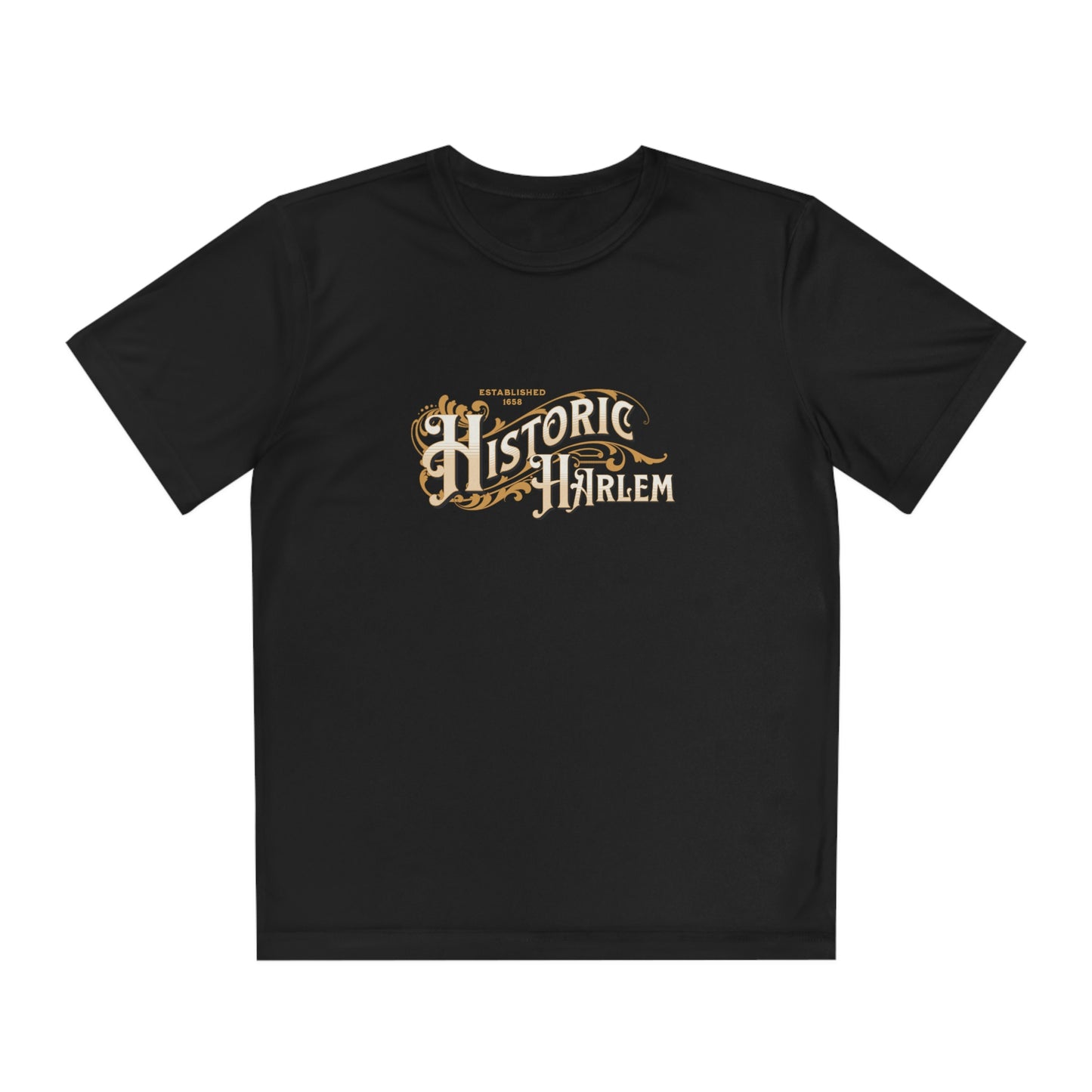 Black History Historic Harlem Tee