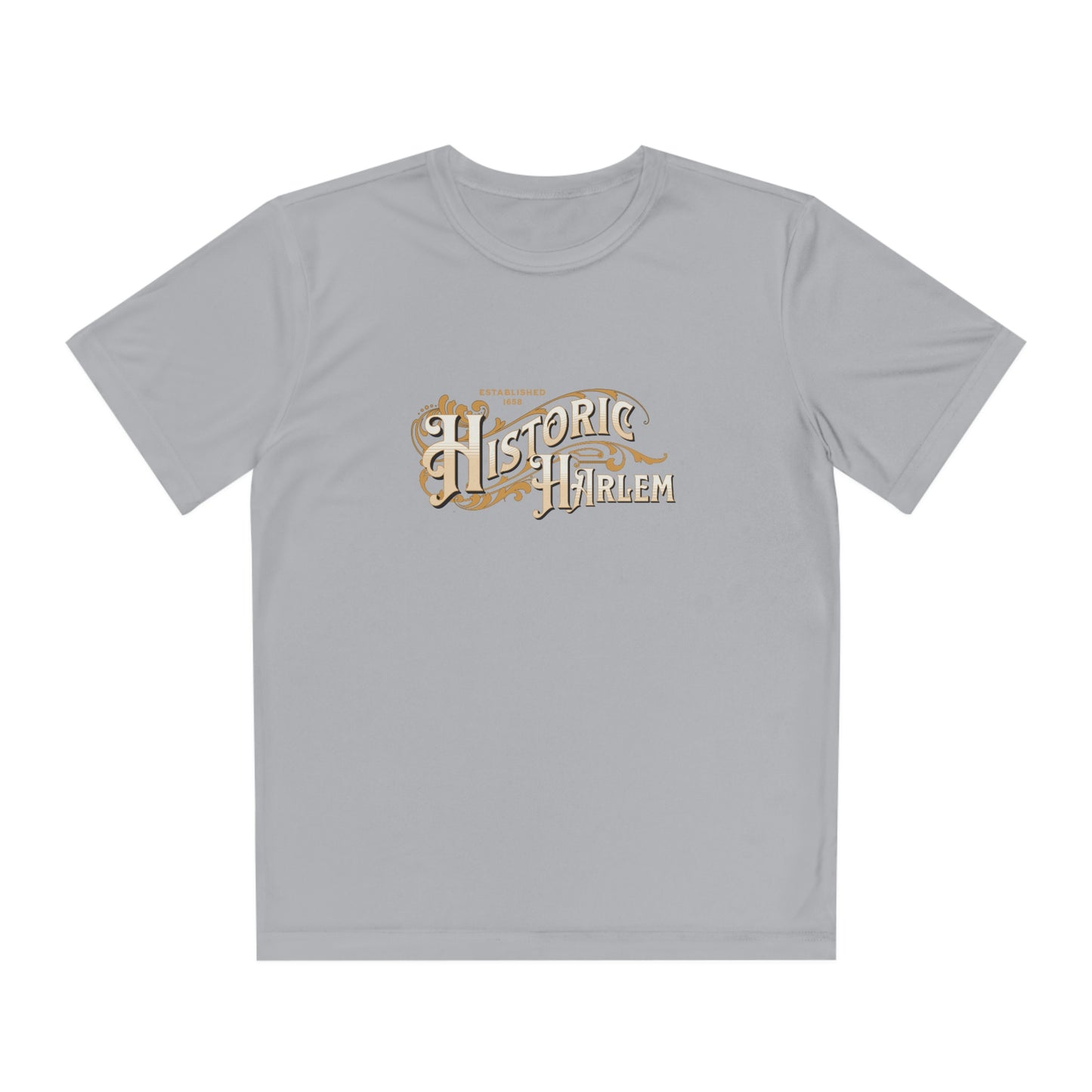 Black History Historic Harlem Tee