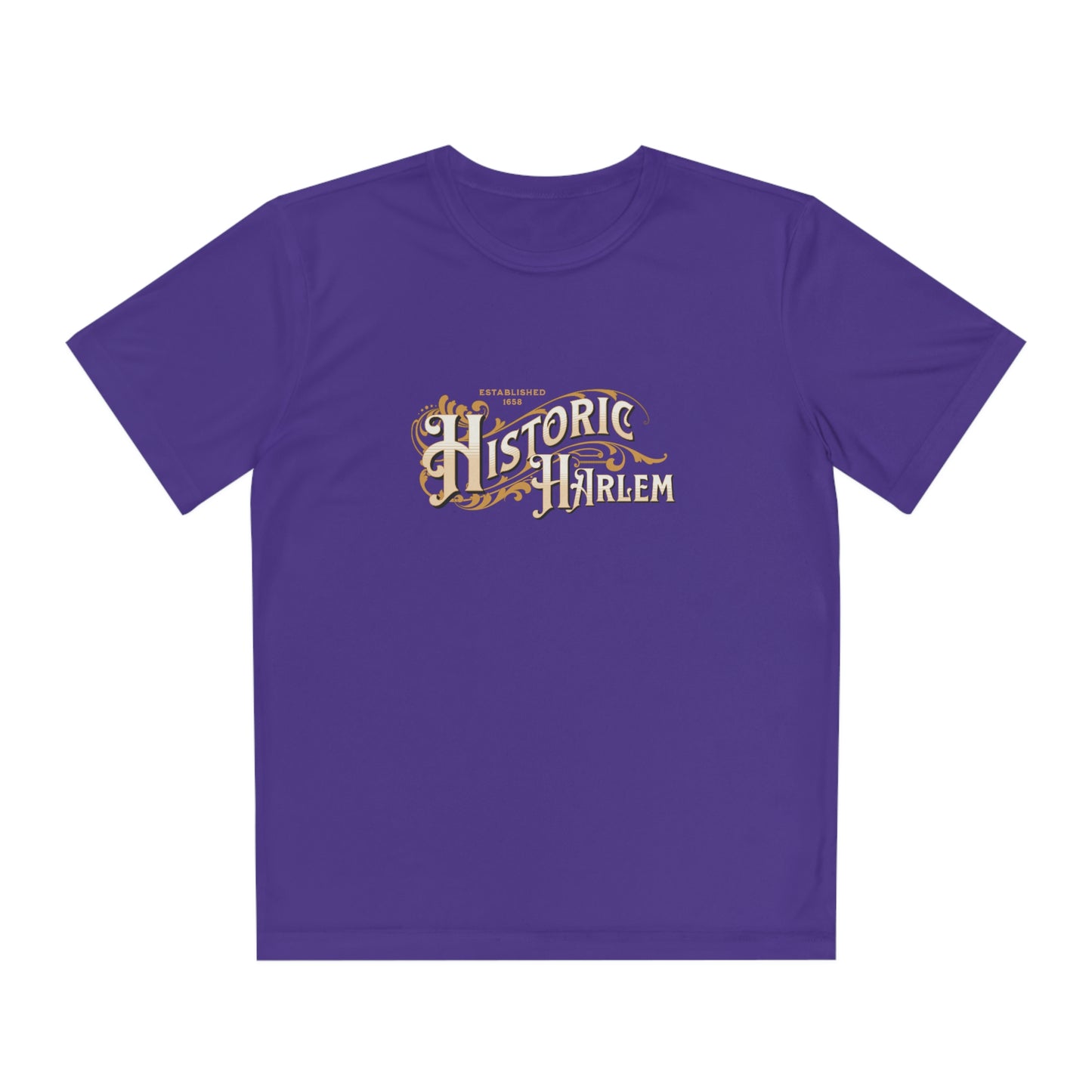 Black History Historic Harlem Tee