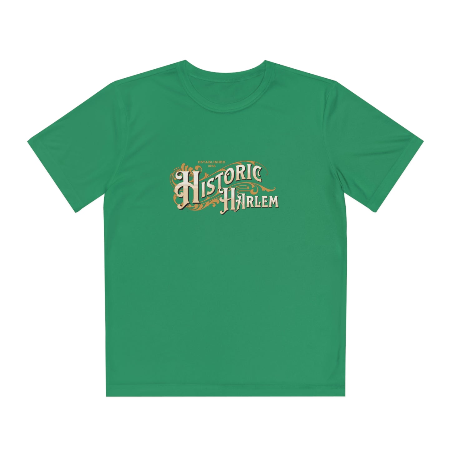 Black History Historic Harlem Tee