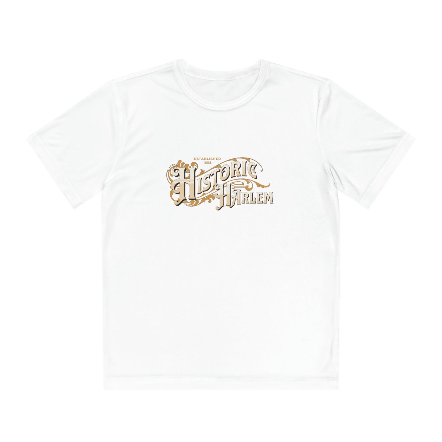 Black History Historic Harlem Tee